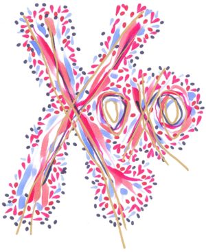 XOXO 01